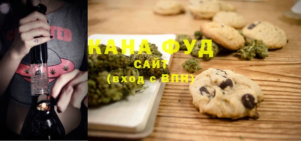 индика Белокуриха